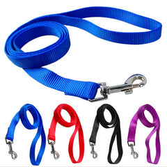 Leads, Collars &amp; Harnesses